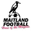 梅特兰