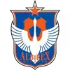 新潟天鹅