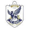 广州英华思力U17